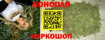 стаф Лесосибирск