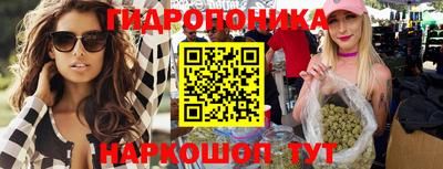 стаф Лесосибирск