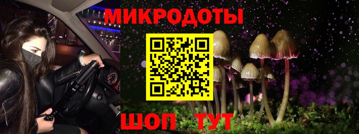 Галлюциногенные грибы Psilocybe Воткинск